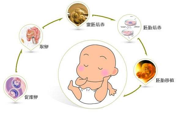 老公喝酒当晚受孕了有影响吗 老公喝酒当晚受孕了有影响吗怀男还是女